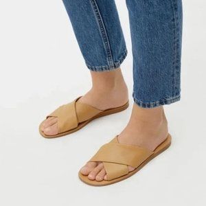 Everlane The Day Crossover Sandal taupe tan 8